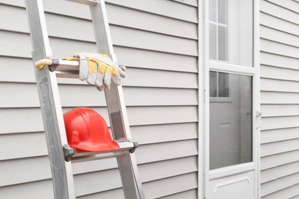 Best Hoarding Cleanup  in Benld, IL